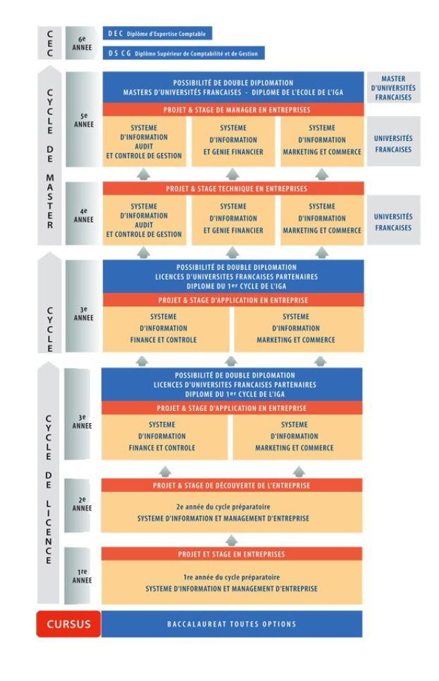 Diagramm, das die organisatorische Struktur eines Unternehmens mit interconnected boxes darstellt, die die Stufen der Unternehmensentwicklung darstellen, begleitet von beschreibendem Text.