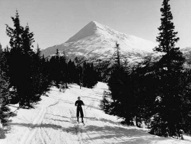 Schwarzes und weißes Foto einer Person, die auf einer verschneiten Hügel mit Bäumen und einem Berg im Hintergrund Langlaufskifährt und Ski-Stöcke hält.