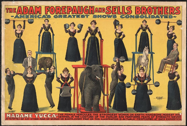 Plakat für die vereinigte Zirkus-Show von Adam Forepaugh und Sells Brothers mit Künstlern auf Hockern, einem Elefanten in der Mitte und Werbetext.