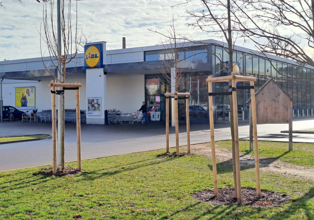 Außenansicht eines Lidl-Geschäfts mit Spielplatz, Gras, Bäumen, Straße, Fußgängern, bewölktem Himmel und Werbetafeln am Gebäude.