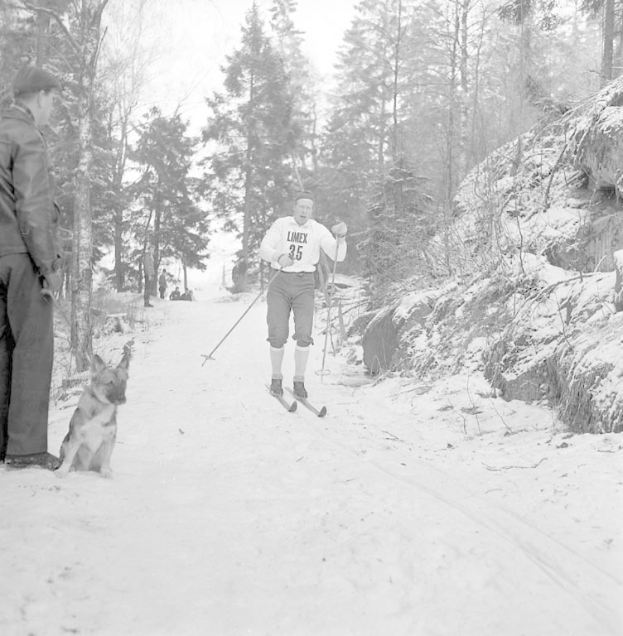Schwarzes und weißes Bild eines Mannes, der auf Skiern steht und Stöcke hält, begleitet von einem sitzenden Hund, mit Bäumen und einem klaren Himmel im Hintergrund.
