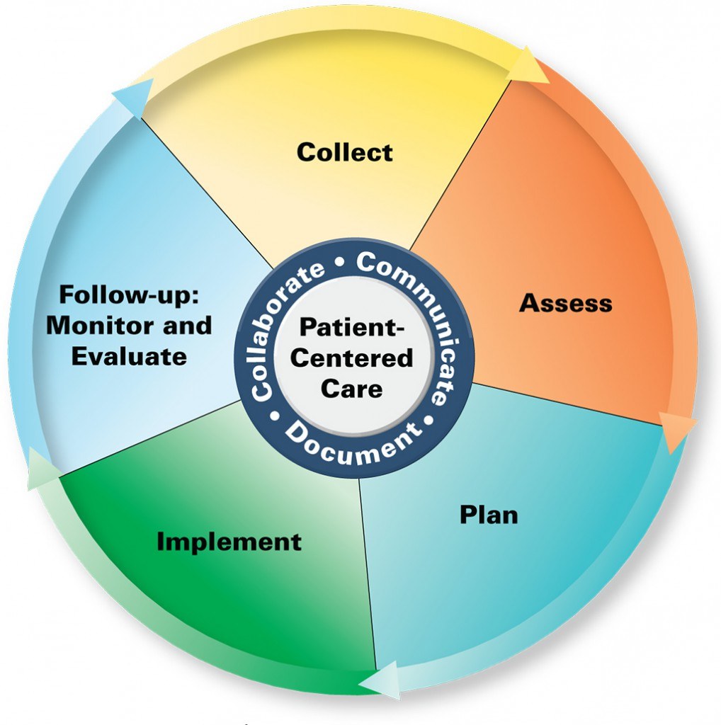 Kreisförmige Diagramm mit der Bezeichnung "patientenorientierte Pflege" mit vier farbigen Abschnitten, die jeweils mit einem spezifischen Aspekt der Pflege beschriftet sind.
