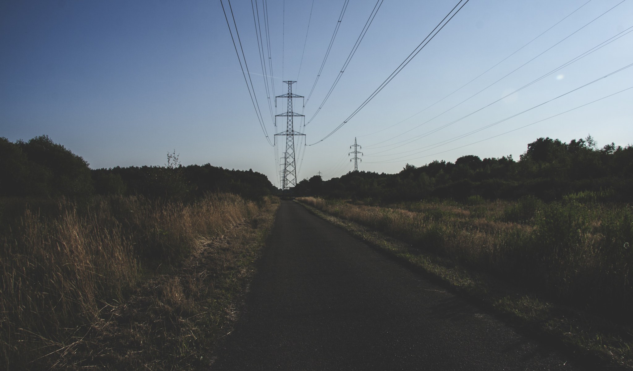 Straße mit Stromleitungen, gesäumt von grünem Gras und Bäumen, die zu fernen Übertragungsmasten führt.