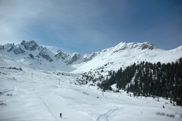 Eine Person, die eine schneebedeckte Bergseite mit Bäumen und Pfosten umgeben hinunterskifährt, mit einem bewölkten Himmel und glitzerndem Schnee in der Sonne.