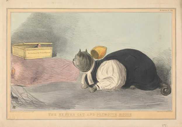 Schwarzer und weißer Kater liegt auf dem Boden neben einer Box mit einer Person darin, mit Text unten.