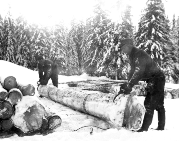 Zwei Männer in Schwarz und Weiß schneiden Baumstämme mit Kettensägen in einem verschneiten Wald.