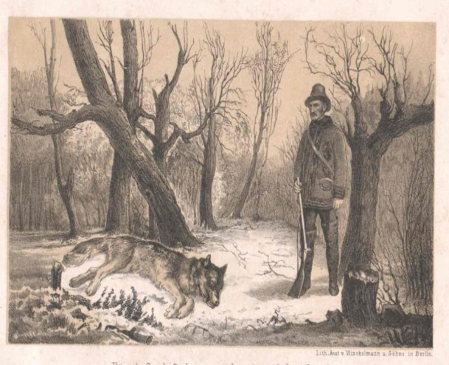 Ein Mann mit Hut steht neben einem Wolf, der auf dem Boden in einem bewaldeten Gebiet liegt und einen Stock hält, mit Bäumen im Hintergrund und dem Text "Deutsches Wolfsjagen" unten.