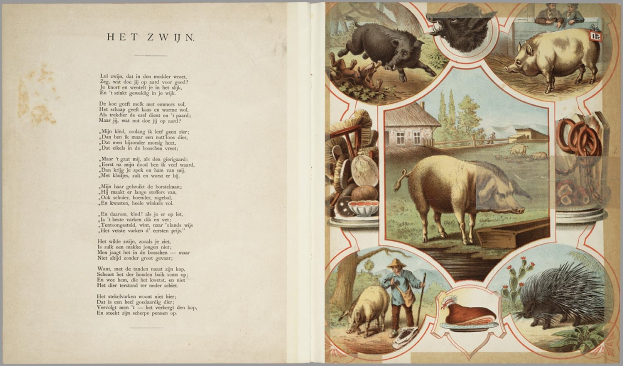 Offenes Buch mit Illustrationen von Schweinen, Hühner und anderen Bauernhoftieren, mit Text auf der linken Seite.