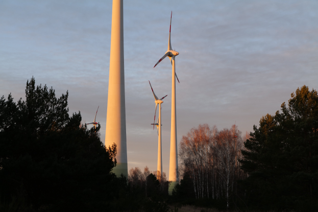 Gruppe von Windkraftanlagen in einem Feld bei Sonnenuntergang, mit Bäumen im Vordergrund und einem bewölkten Himmel im Hintergrund.