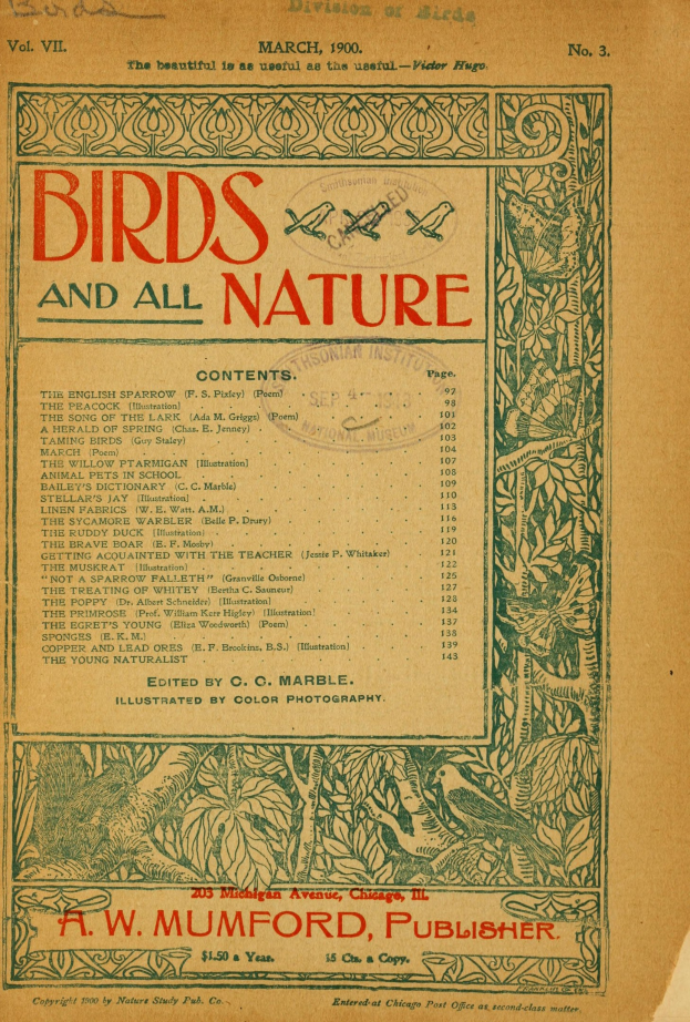 Ein offenes altes Buch mit dem Titel "Vögel und die ganze Natur", das eine Seite mit Text und Illustrationen verschiedener Vögel zeigt.
